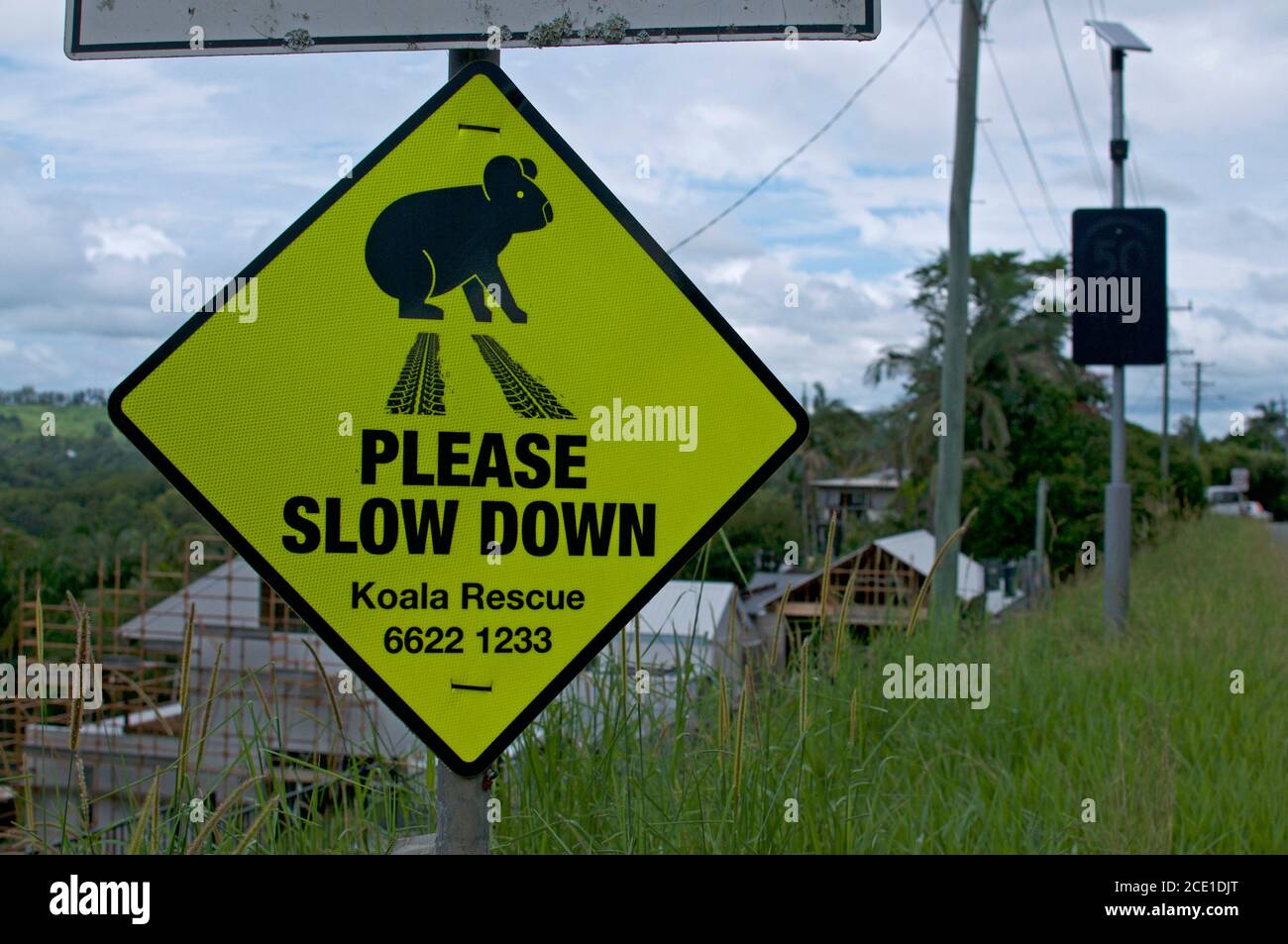 Segnale di avvertimento australiano Koala situato vicino alla città di Eumundi nel nuovo Galles del Sud. Il cartello dice di rallentare per la sicurezza degli animali Foto Stock