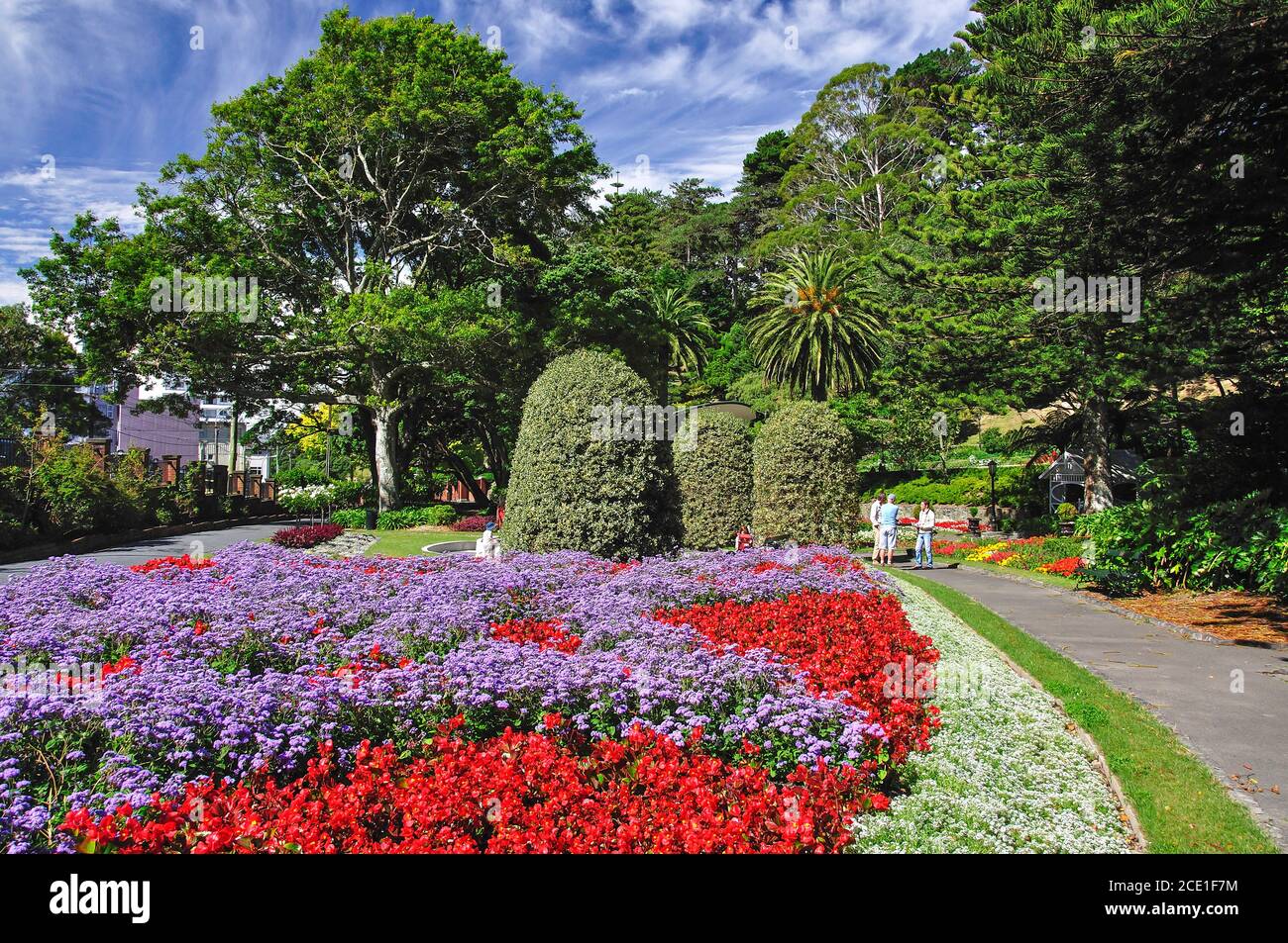 Colorate composizioni floreali, Wellington Botanic Garden, Wellington, Regione di Wellington, Isola del nord, Nuova Zelanda Foto Stock