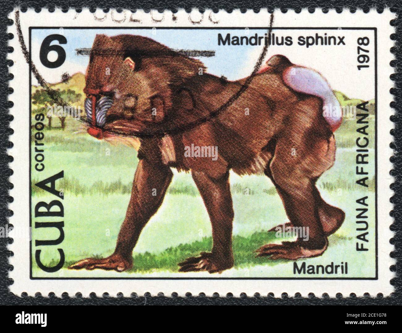 Un francobollo stampato a CUBA, Mandrill sfinge, serie fauna africana, 1978 Foto Stock