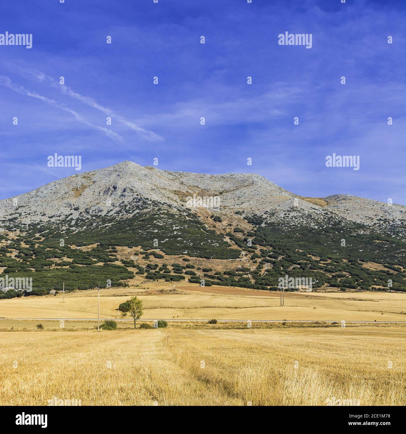 Ferrovia che attraversa il campo Foto Stock