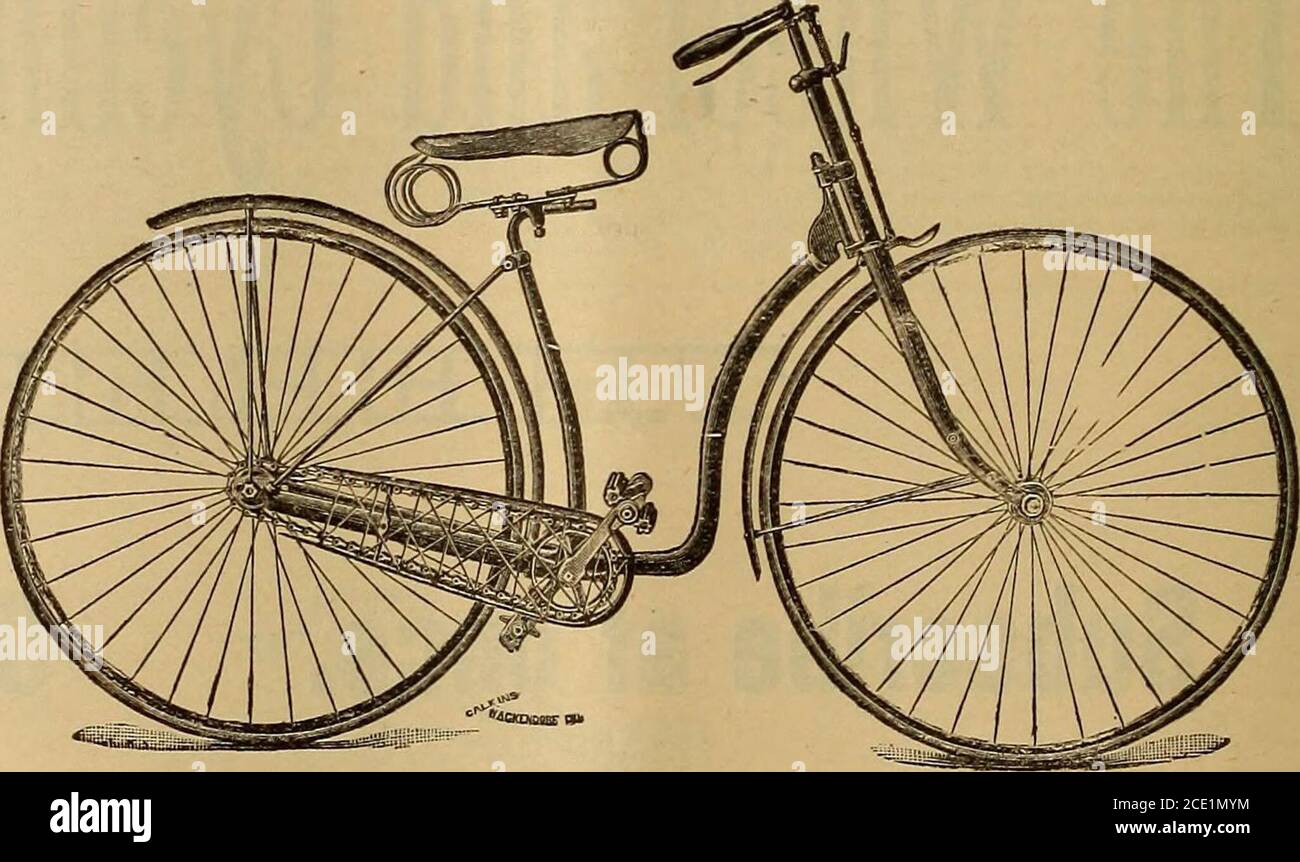 . La revisione del settore della ruota e del ciclismo . Prezzo, con cuscinetti a sfere a ruote, 75 dollari a tutto tondo, 90 UNA sicurezza di prima classe a un prezzo ReasonablePrice. Ruota posteriore, 30 pollici, con motoriduttore 54; volante da 30 pollici; cerchioni in acciaio a mezzaluna J^ e pneumatici in gomma di ottima qualità /& pollici; razze dirette, difilo in acciaio trainato speciale di migliore qualità; manovelle regolabili da 5>^ a 6/^; catene di brevetto speciale; impugnature vulcanite; ruote dotate di cuscinetti a sfera; sella di sospensione regolabile, con molle posteriori e anteriori a spirale. Spadehandle, se lo si desidera. La sicurezza nazionale delle donne. Prezzo, con cuscinetti a sfere a b Foto Stock