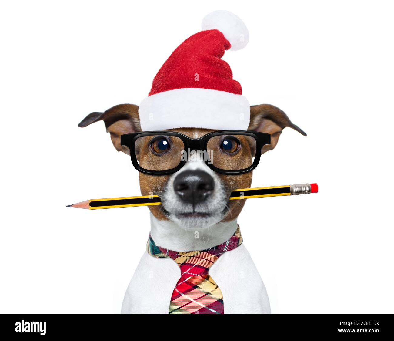 lavoratore di ufficio del cane nelle feste di natale Foto Stock