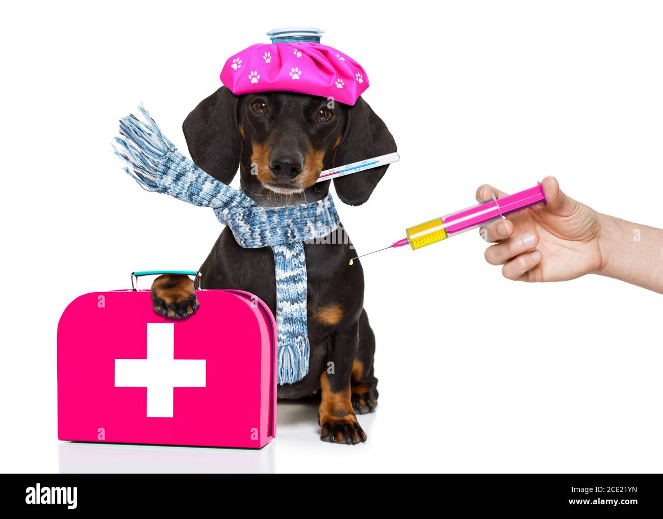 cane malato con malattia e siringa di vaccino Foto Stock
