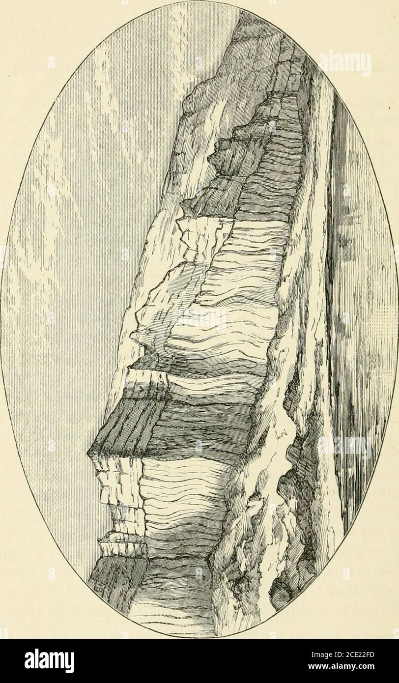. Monte Seir, Sinai e Palestina occidentale. Essere una narrazione di una spedizione scientifica . in, e lungo le loro pareti il sale di roccia è costantemente fusione. HART e Laurence si sono insidiati fino alla cima della scogliera, e per la prima volta la superficie superiore di questo notevole altopiano salifero è stata esaminata da aEuropean. Le difficoltà sia di raggiungere che di attraversare la sua superficie superiore sono notevoli, a causa dei fori e delle fessure con cui vengono penetrate le testrate. Il sig. Hart mi informa che la superficie superiore è composta da scisti e marli con gesso e selenite, molto rotto, enon consolidato. Foto Stock
