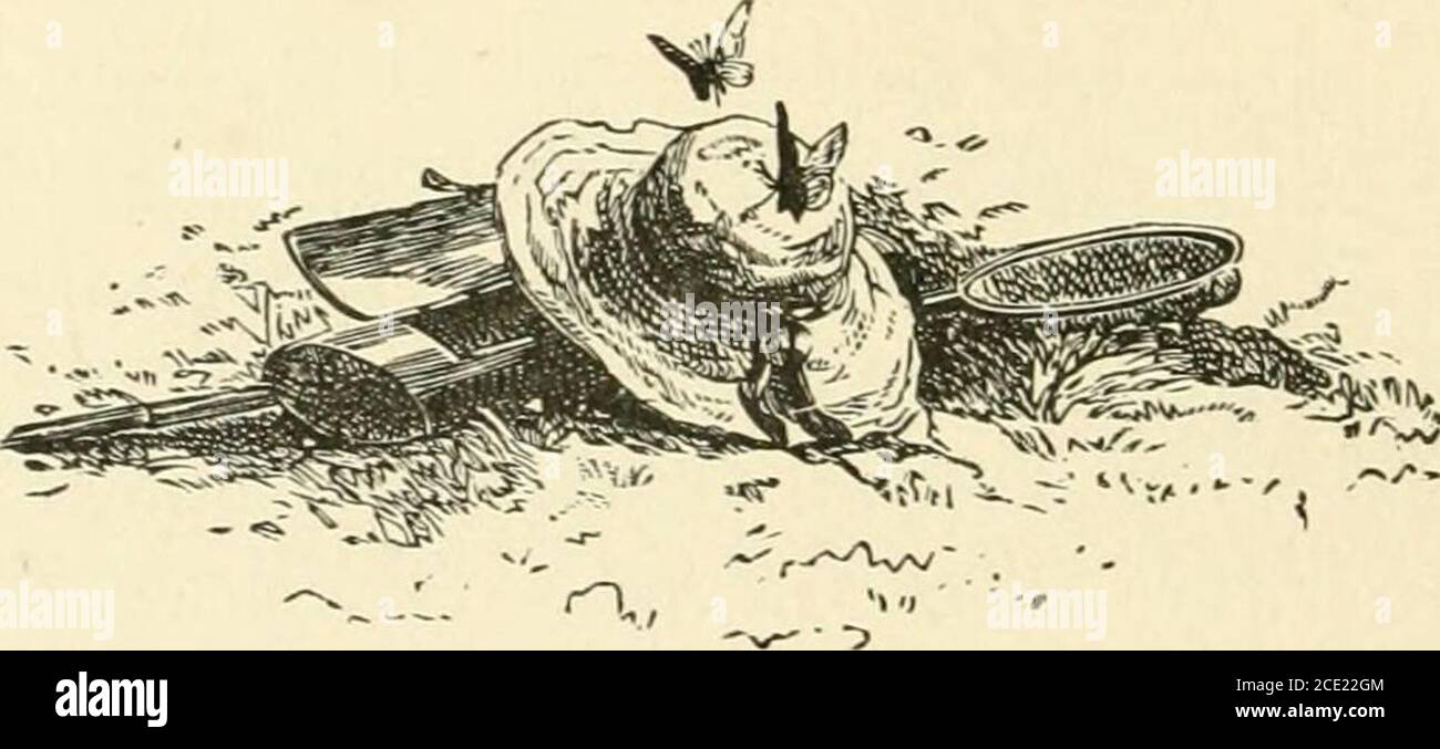 . Pittoresca Washington: Disegni a penna e matita del suo scenario, la storia, le tradizioni, la vita pubblica e sociale, con descrizioni grafiche del Campidoglio e del Congresso, la Casa Bianca, e i dipartimenti governativi .. . – questioni, pagine 251-266 CAPITOLO XVIII . I DINTORNI HOWARD UNIVERSITY COLOMBIAN UNIVER-SITY WAYLAND SEMINARY NATIONAL SAF-MUTE COL-LEGE OSPEDALE GOVERNATIVO PER LA FOLLE GEORGE-TOWN IL COLLEGE DEI GESUITI GRANDI CASCATE DEL POTOMAC CHESAPEAKE E OHIO CANAL ARLING-TON IL GRANDE CIMITERO MILITARE NAZIONALE ALESSANDRIA, PAGINE 267-277 CAPITOLO XIX MONTE VERNON PRESENTE APPEARANC Foto Stock