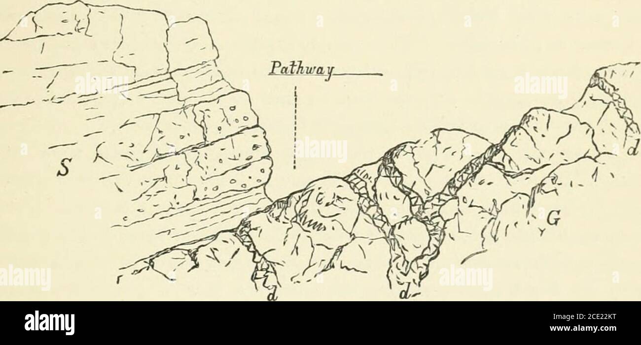 . Monte Seir, Sinai e Palestina occidentale. Essere una narrazione di una spedizione scientifica . eh, di cui un giorno potrebbe essere forse il signore. Qualunque fosse stato il suo riflesso, lì si fermò immobile come una statua, rilevando la scena - certamente agrand uno - di fronte a lui. L'opportunità non era da perdere. In a • Lots Sea, il nome tlie da wliicb tlie Salt Sea, o Mar Morto, è noto amongstthe Arabs. LA VALLE DELL'AKABAII, E ^VESTERN PALESTINA. 103 pochi secondi Gordon aveva allestito la sua macchina fotografica, e la forma dello Sheikhand i suoi dintorni sono stati brandati sulla piastra fotografica ere heco Foto Stock