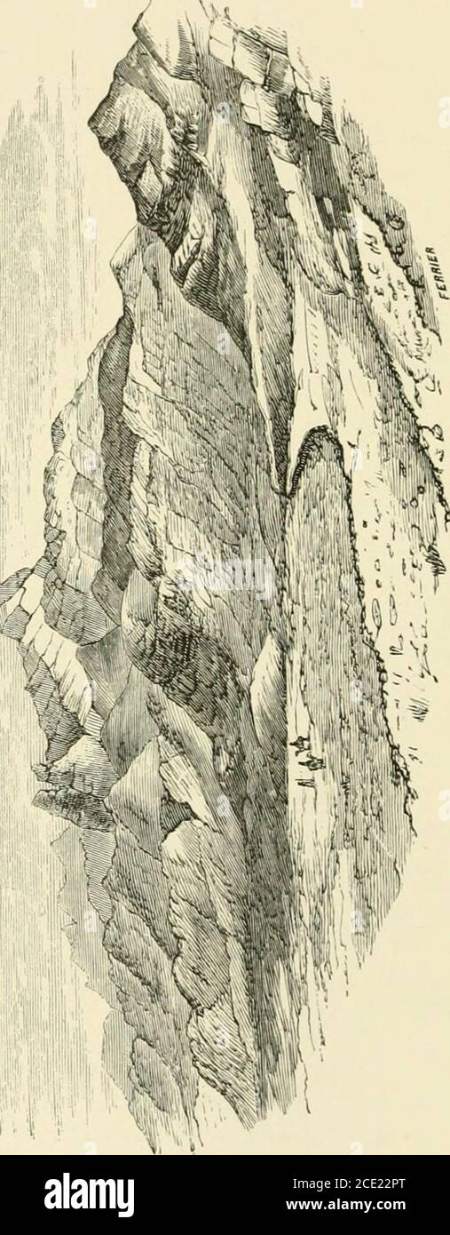 . Monte Seir, Sinai e Palestina occidentale. Essere una narrazione di una spedizione scientifica . la struttura dei monti Edomiti quasi al loro centro. Dopo aver preso alcune foto-grafici il partito è tornato, e ha raggiunto il campo alla base di JebelHaroun molto tempo dopo daik. Durante il giorno, attraversando le numerose dune di sabbia, contribuì a far svanire il tempo per notare le numerose e variegate impronte spesso impressi in superficie. Di questi i più numerosi erano quelli della g-dzelle, che sono in qualche modo simili a quelli di una pecora, ma più affilati e moreclosamente compattati; altri di inene, e alcuni di larg Foto Stock