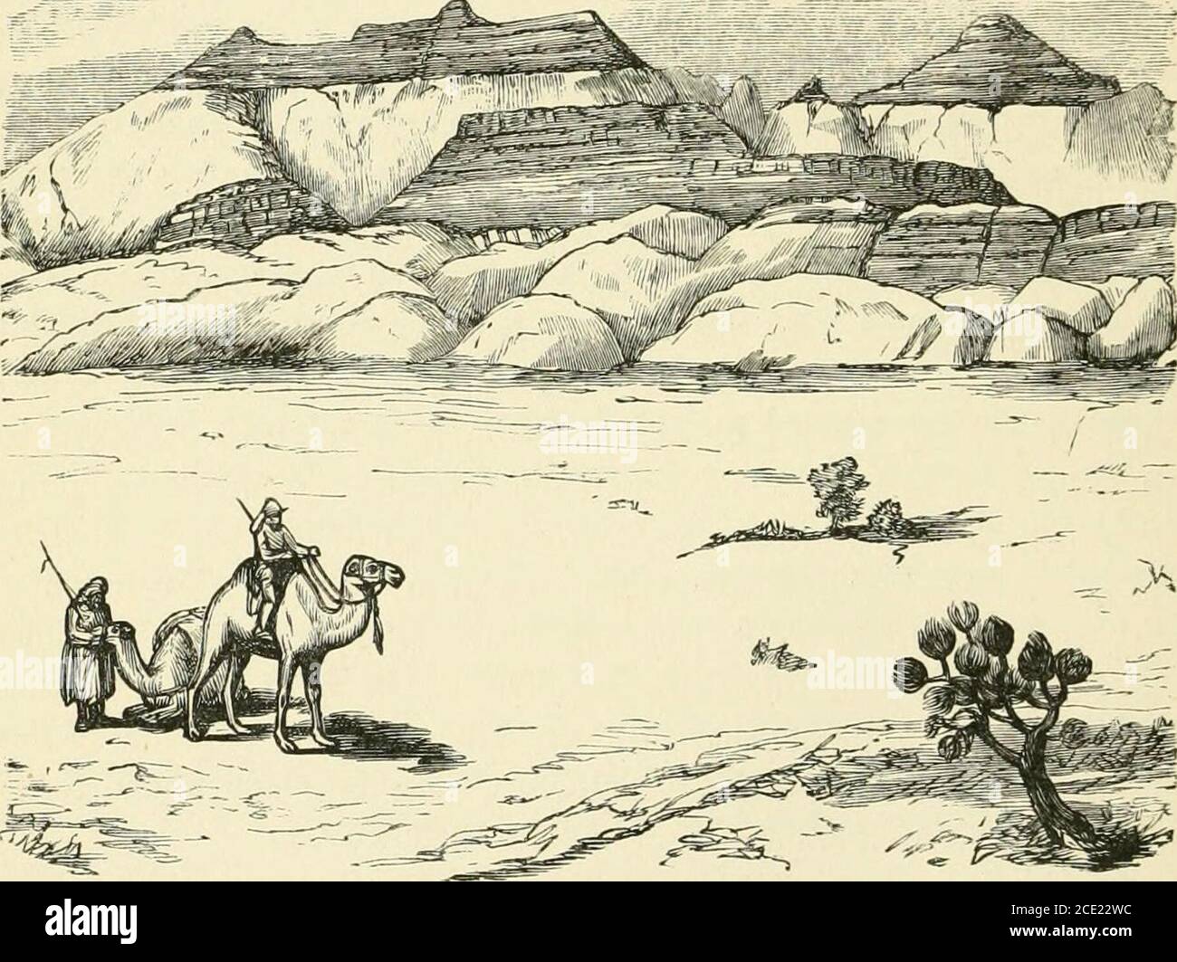 . Monte Seir, Sinai e Palestina occidentale. Essere una narrazione di una spedizione scientifica . nd. Sheikh Ali ci ha detto che gli stambecchi werenumeri tra le montagne sul lato est, e gazzelle, lepri, e pernici sono stati osservati dalla maggior parte del nostro partito. Le gazzelle, come sempre, erano così timidi che era quasi impossibile ottenere all'interno di colpo di loro.Hart notò uno indisturbato, e si stava preparando a spolvero, ma appena aslie si stava avvicinando entro la portata il suo cammello ha cominciato a slow e ha visto Quart. Viaggio. Geol. SoC, vol. Xxxi, pag. 9, et spq. 80 NARKATIVE DI UNA SPEDIZIONE ATTRAVERSO L'ARABIA IETR/EA, LA SUA GAZZELLA Foto Stock