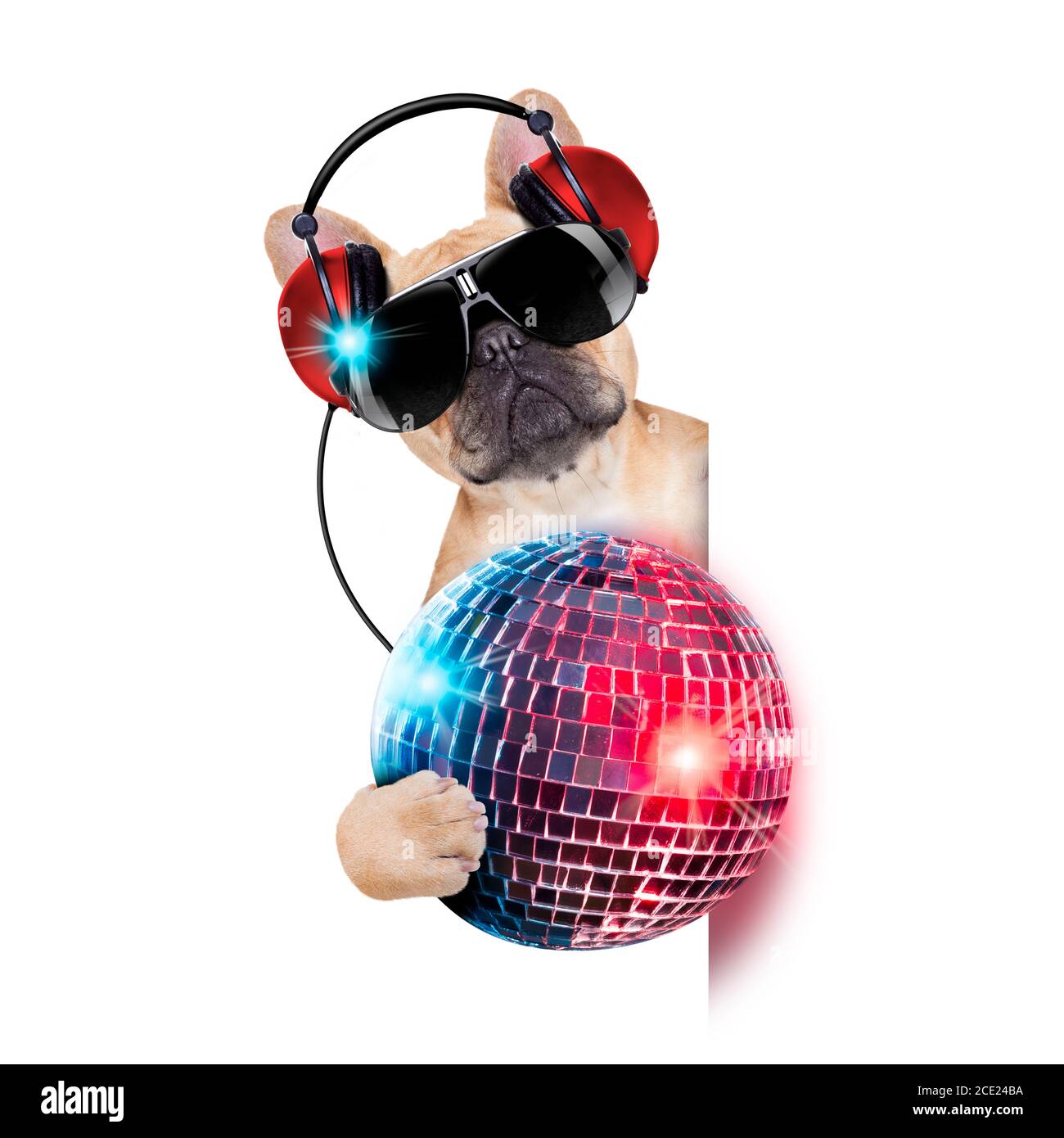 dj disco cane Foto Stock