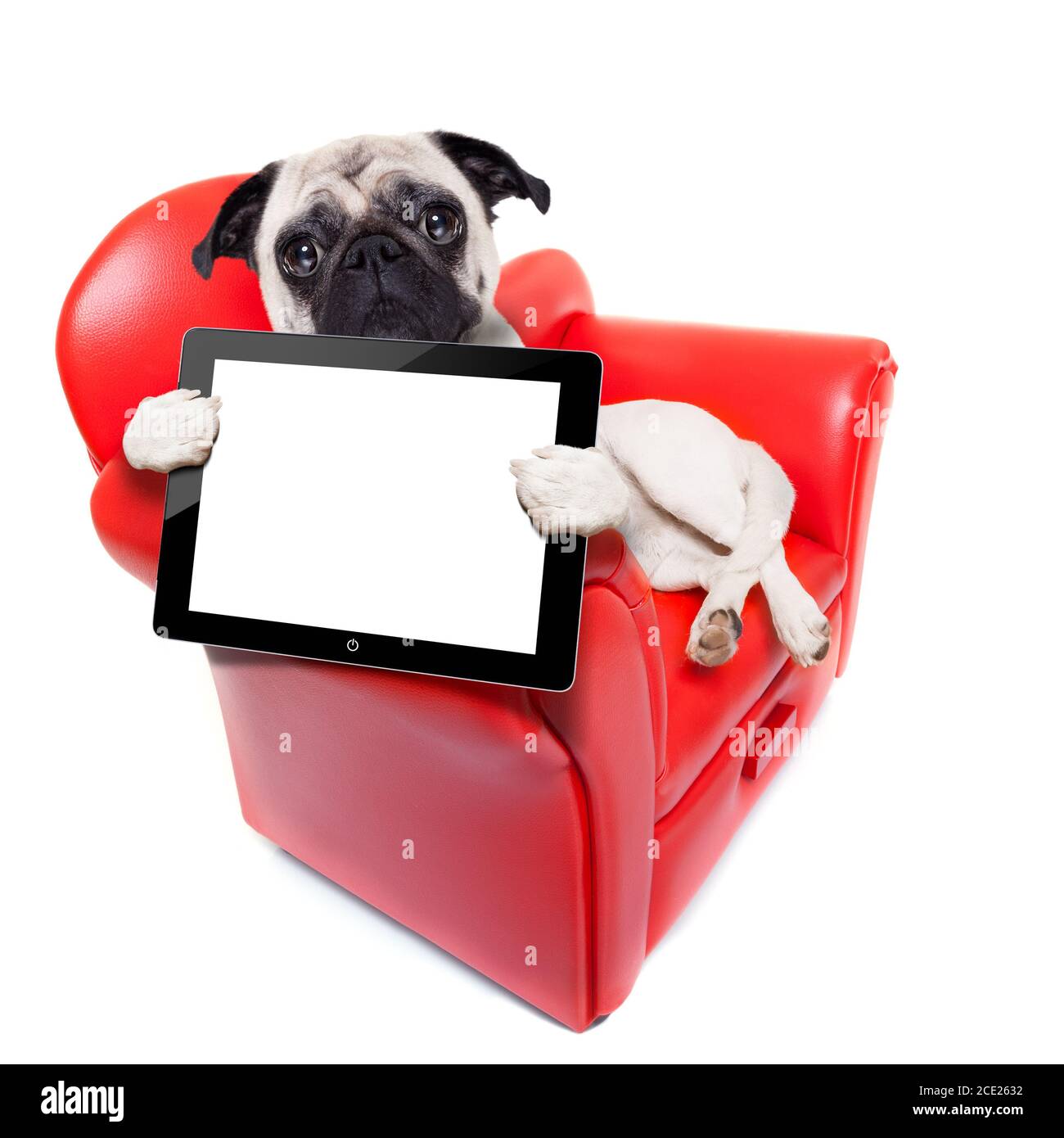 computer con divano per cani Foto Stock