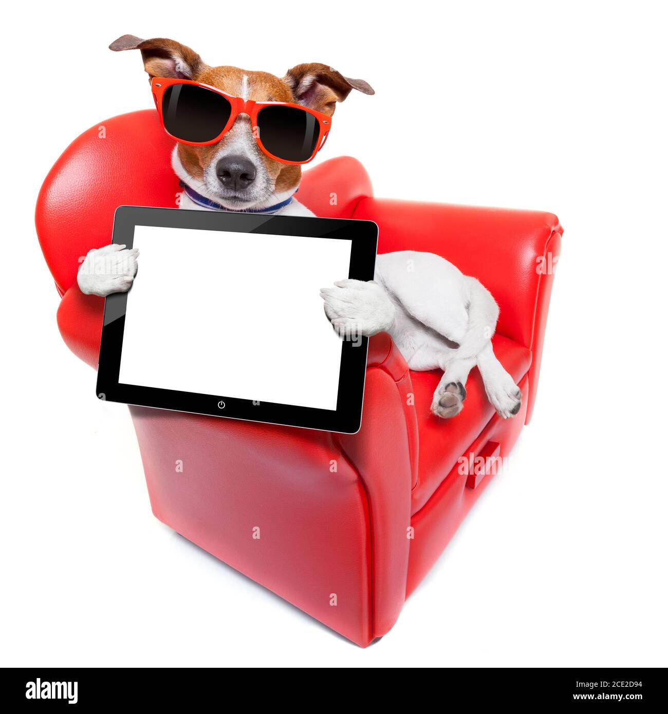 divano per cani Foto Stock