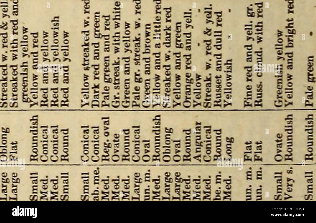 . Un'enciclopedia del giardinaggio; . Jiiilil III jiIII ili2-lii^iliilljijii II l;¥ 1| III |1||| ml SS|p|3||S|||1| |S SS i B o 5S §•3 >>S II ^mui m mil iiii iiffiiiiiiiiiiiiiiiiiiiiiiiiiiiiiiiiiiiiiiiiiiiiiiiiiiiiiiiii lis. T-ti »11«a xj « •*? & & & S&LS-l- s? S? CFA ;b U. EH [i. b b C^ b £^ II i§ i- !!!ill o . s J3 ?.rit ?1 ;| i r .i.i. g ?s ?III ..ll.l tli 111 III ^ a III o c o Book I. APPLE. 693 si ml 8 e S s IJL 111 l1 I. sit to aj ji .H S i ^ El las a£ o ?- ;5wa 2 ill IT 2 5 3 3 13 5 EE 11.2! A i •a -3 -3 -o TS .2c = c § c C.3 £ S S S S S e S.S.S.S.S.S.s. i;.t:.S.A .a, 13.2. 1 ml fino a g ggg Foto Stock
