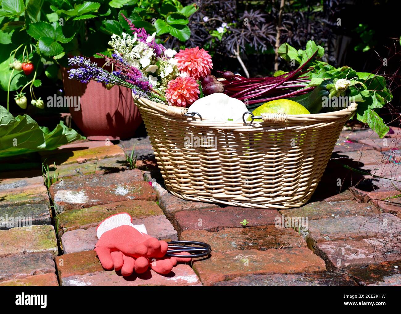 Verdure biologiche coltivate in casa appena raccolte con bellissimi fiori recisi per cucinare un pasto sano e un bel tavolo Foto Stock