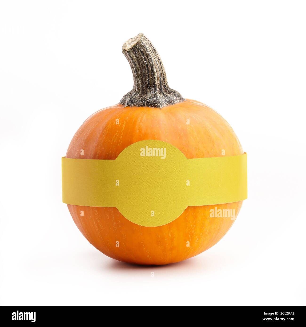 Piccola zucca rotonda con adesivo di carta per il testo isolato sfondo bianco Foto Stock