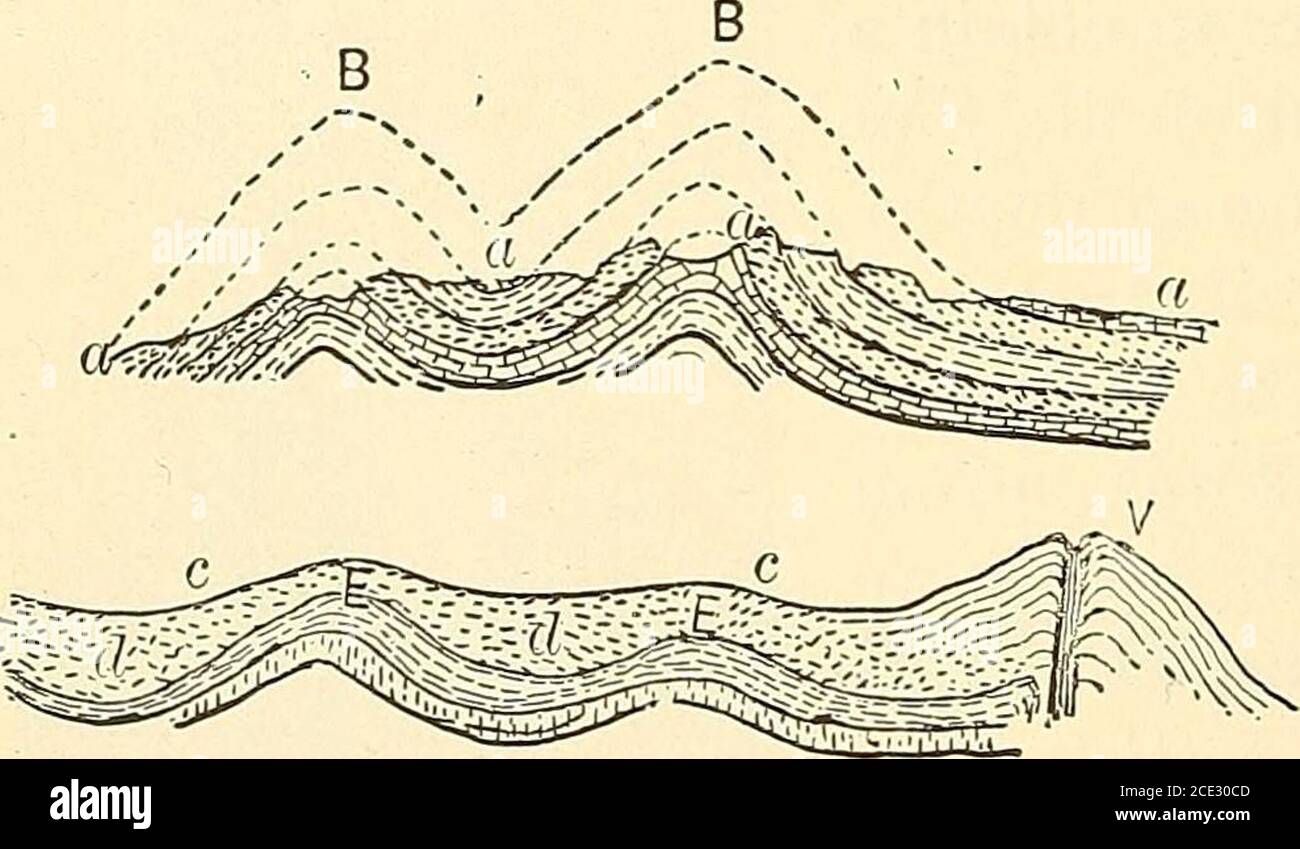 . L'apparecchiatura fisica elementare dovrebbe immaginare che, come risultato di alcune prove, avevano ottenuto una conoscenza leale della vita esistente sulla superficie della terra, sarà prontamente visto che theywould essere molto errato. Tutti gli animalsssarebbero fuggiti in rapido movimento, e solo quelli sarebbero presi che weresmall abbastanza per entrare nel sogno, e così lento che theycould non scappare da esso. In una misura questo vale per le ourexplorations del mare profondo. Se vi sono animali di grandi dimensioni, i nostri metodi di esplorazione non sono calcolati per scoprirli, né dovrebbero aspettarsi di ottaganissimi animali Foto Stock