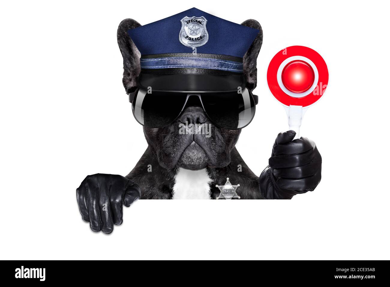 cane poliziotto con segnale di stop Foto Stock