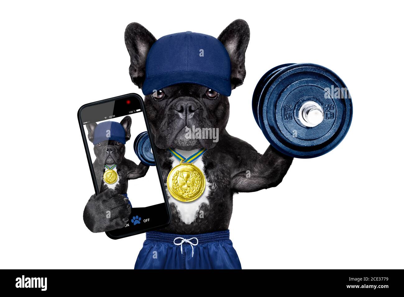selfie di sport del cane Foto Stock