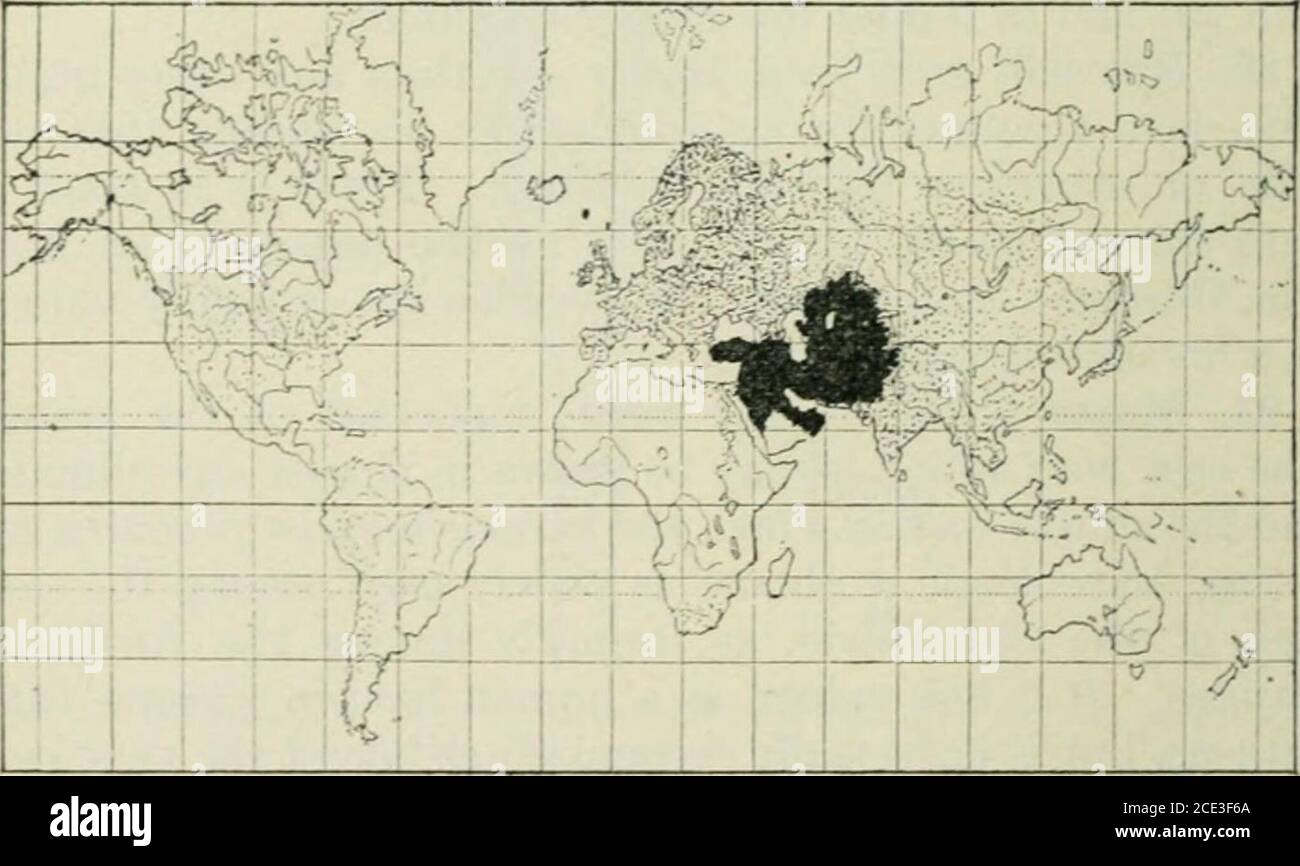 . Piante e loro usi; un'introduzione alla botanica . Fig. 16.-Mappa del mondo che mostra, in nero pieno, la i)rohlo nativehome, e per zona punteggiata, l'attuale gamma di coltivazione, di grano.(originale.). Fig. 17.-Mappa che mostra, a.s in Fig. 10, casa natale e gamma attuale di orzo. (Originale.) prodotto ogni anno nelle regioni calde e umide della Cina, dell'India e delle terre vicine, e nella nostra costa meridionale RISO 27 stati. Dal momento che forma uno dei principali articoli di dietina tlie densamente popolati paesi dell'Asia orientale, e ha Foto Stock