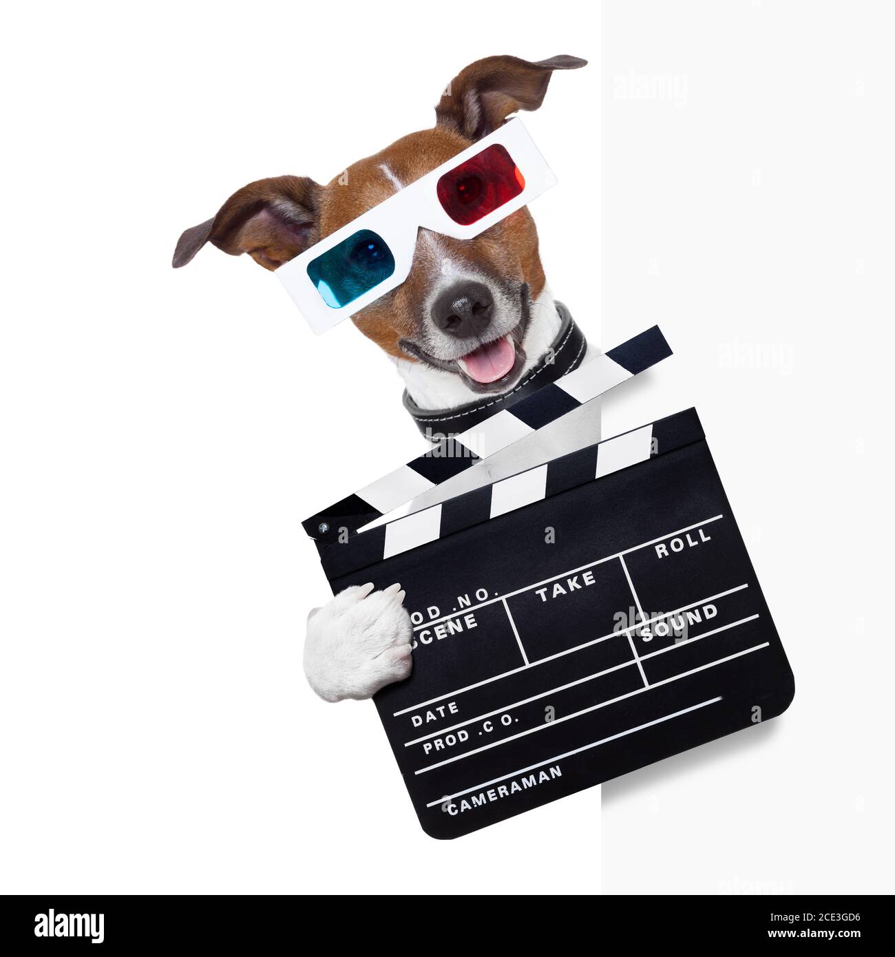 cane di batacchio Foto Stock