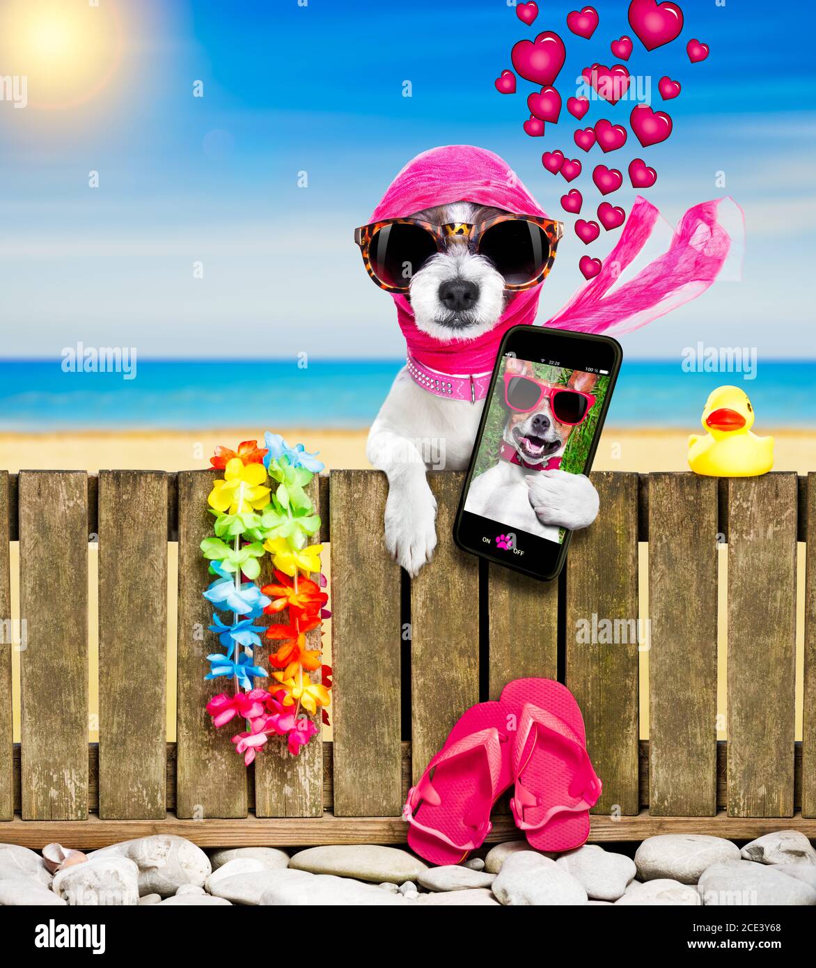 cane sulla spiaggia durante le vacanze estive Foto Stock