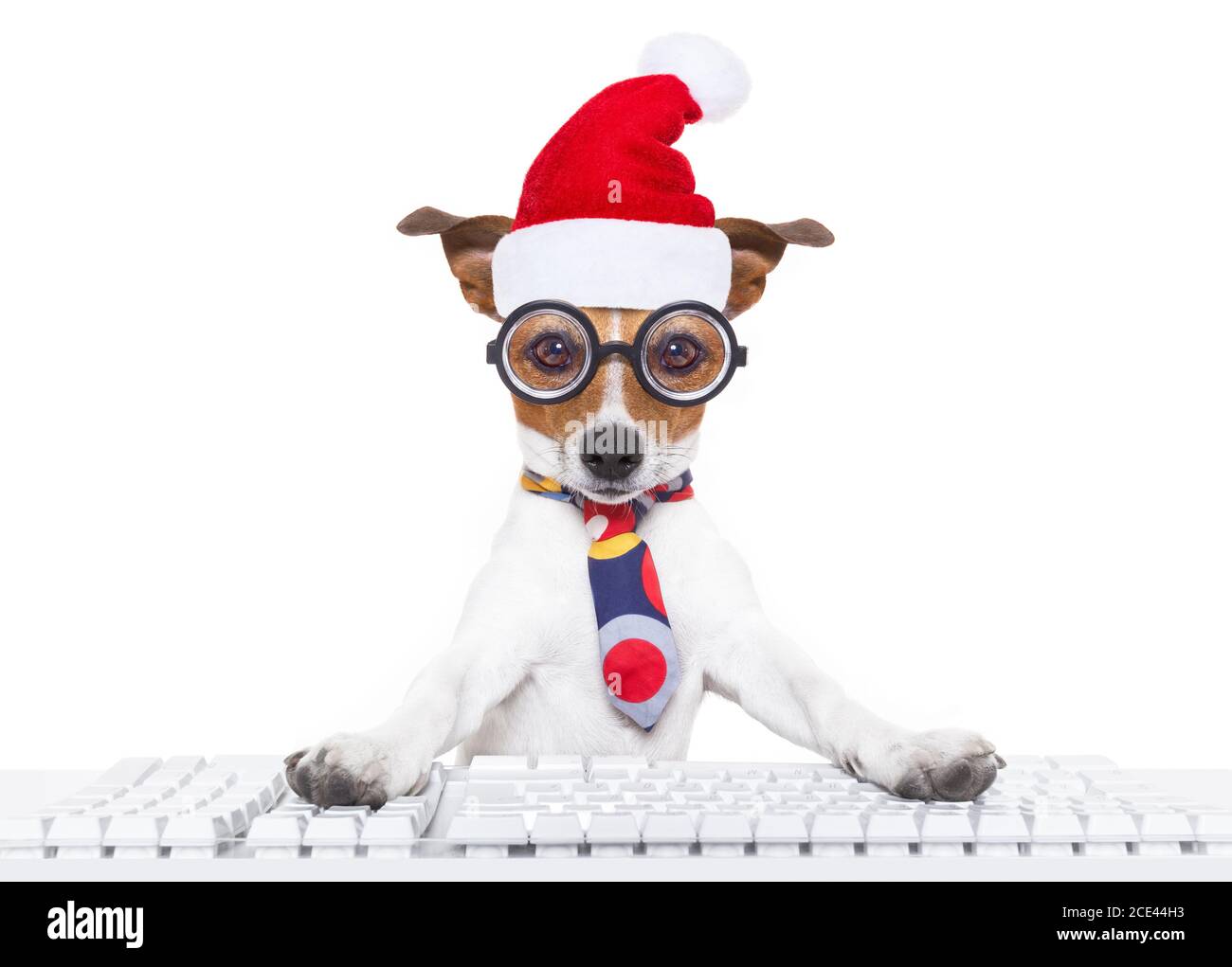 lavoratore di ufficio del cane nelle feste di natale Foto Stock