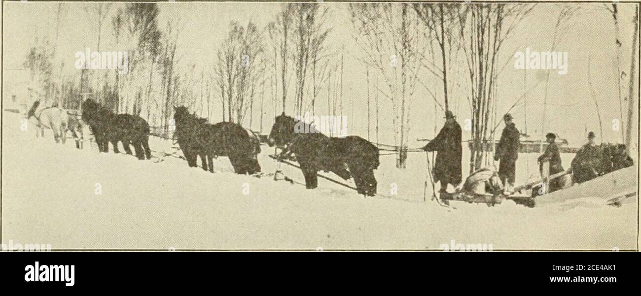 . Lettore di vita in campagna . Il whirl-dance della tempesta accecante. Fuori strada. Una VISITA ALLA FATTORIA Theres le nostre campane, gridò Thomas Finch, mentre il profondo boom musicale delle campane di slitte finches arrivò attraverso il cespuglio. Vieni, Hughie, bene li prendi al thecross. E, seguito da Hughie e dai ragazzi di Tenorth, si dirigeva verso il crocevia nord, dove si incontravano le ciotole finchesi che venivano vuote dal mulino, alla grande sorpresa e dehght non legato di MR.e Mrs.Bushy, che, dal loro cavallo nella vecchia faggeta, aveva guardato con un po' di ansia i ragazzi insolito condott. Là Foto Stock