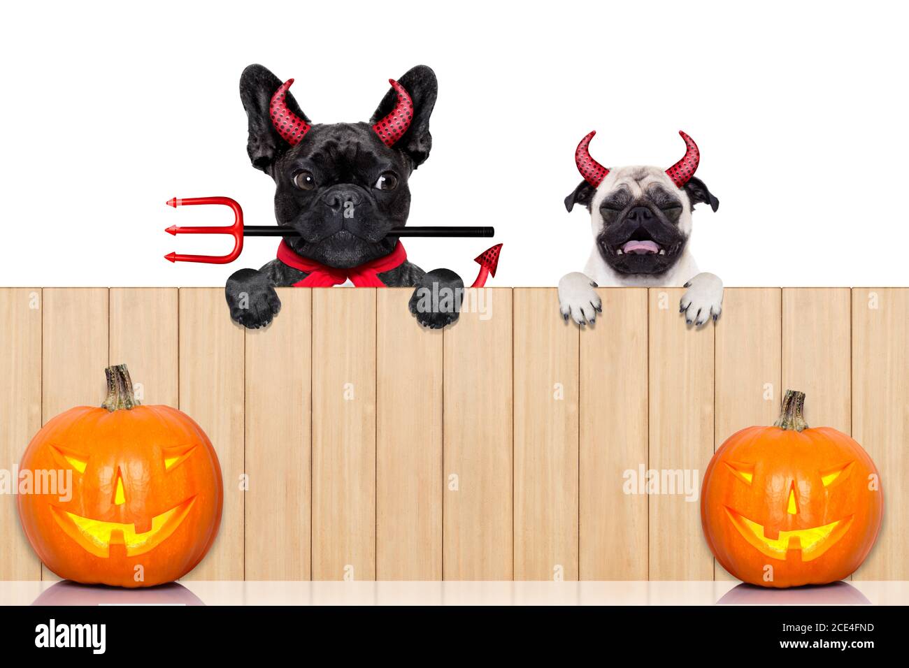 fila di cani di halloween Foto Stock