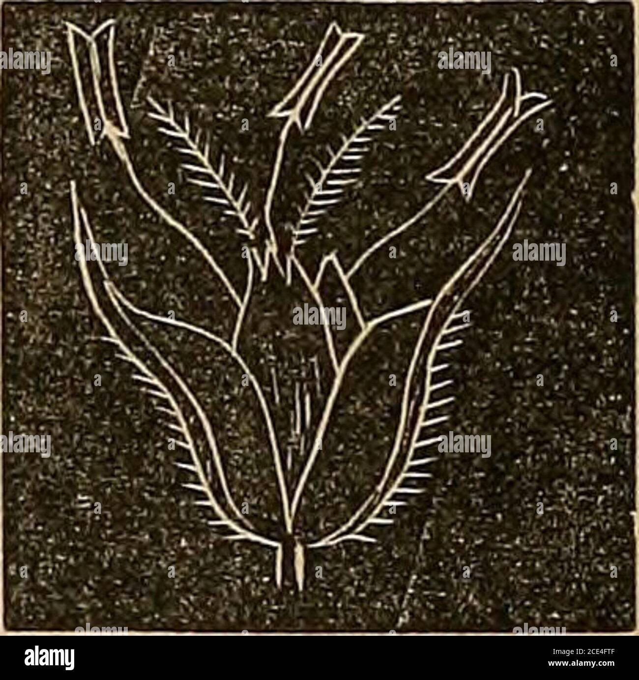 . Maryland School Journal (1879-1880). Un feebleftent, può impedire uno sforzo più forte. È un errore punire tirando un childs orecchi, slappinghi guance, &c, &c.. La punizione deve essere sottostare. L'idea orribile che l'oggetto principale della punizione è quello di causare il dolore non è accettato dai moderni insegnanti. Le punizioni sopra riportate provocano sempre sentimenti ribelle, e nulla se non la debolezza teomparativa dell'allievo impedisce mai il suo sollecito di tale indignità da parte della castità personale dell'insegnante. Tali punizioni sono improprie : 1. Perché indicano fretta, cattivo temperamento A. Foto Stock