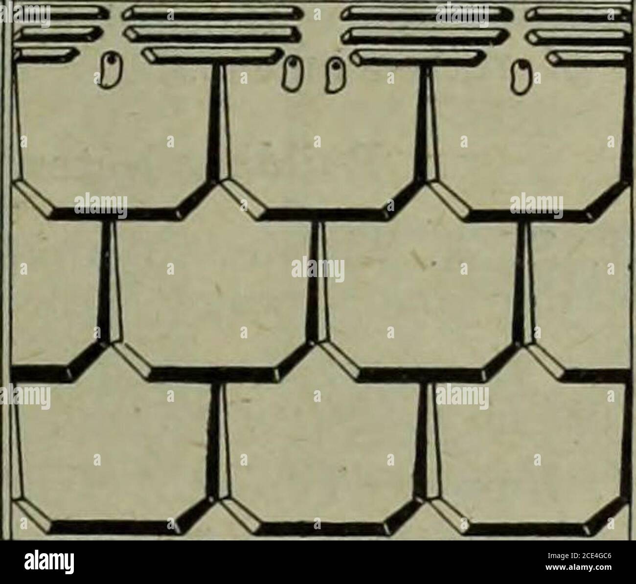 . Hardware merchandising (gennaio-marzo 1908) . il presente Congresso dovrebbe, là-avanti, rinviare tutte le azioni fino a quando le condizioni normali di nuovo prevalgono qui e all'estero. HARDWARE E METALLO NICHEL Canadian Cupper Co. NICHEL PER ACCIAIO AL NICHEL Orford Copper Co. WRIT! US fobPAHTI0ULAR8 E PRIOM General Offloee 43 EXCHANGE PLACE NEW YORK CITY THE OAKEYS The Original and Only GenuinePreparation for Cleaning Cut-Lery, 6d. And If. Coltello WELLINGTON Canlitera POLISH JOHN OAKEY & SONS, Produttori limitati di panni e carte Emery, Black Lead, Emery, Olasi e Flint, ecc. Welgon Hills, Londra, Inghilterra Age Foto Stock