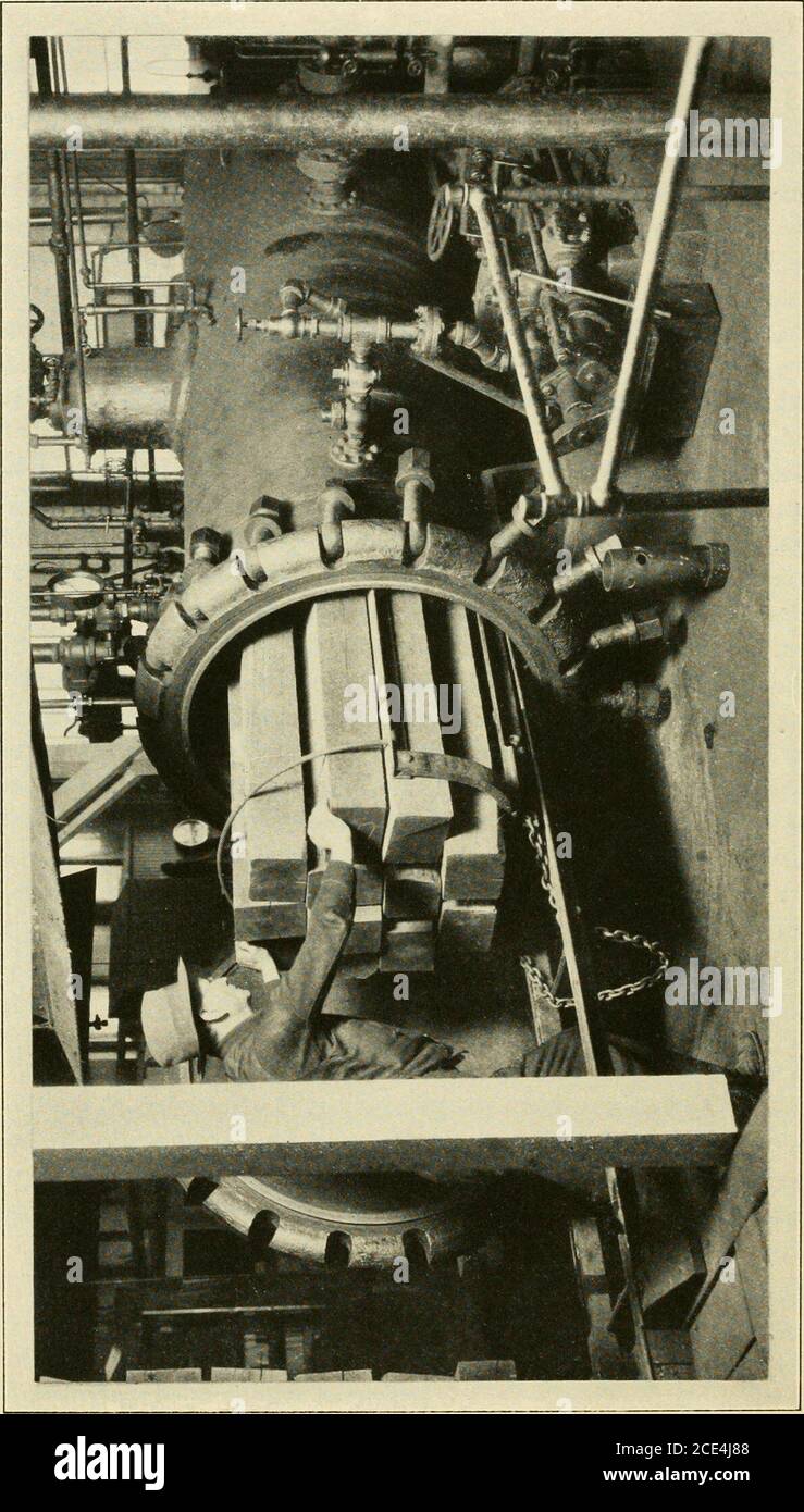 . Il laboratorio dei prodotti forestali; . lvedenel tlie osservazione di certe precauzioni nel processo resultedin ridurre al minimo il sanguinamento sgradevole comune fino a quel tempo. Nel disegno delle specifiche adottate dalla AmericanWood Preservers Association e dalla American Society for jNIunici-pal Improvements, per il trattamento e la posa di pavimenti in legno di lecca, il laboratorio ha svolto un ruolo di primo piano. La conoscenza della tossicità e del valore conservante dei diversi tipi di conservanti, sia proprietari che di altro tipo, è fondamentale, in modo che i buoni possano esserne Foto Stock