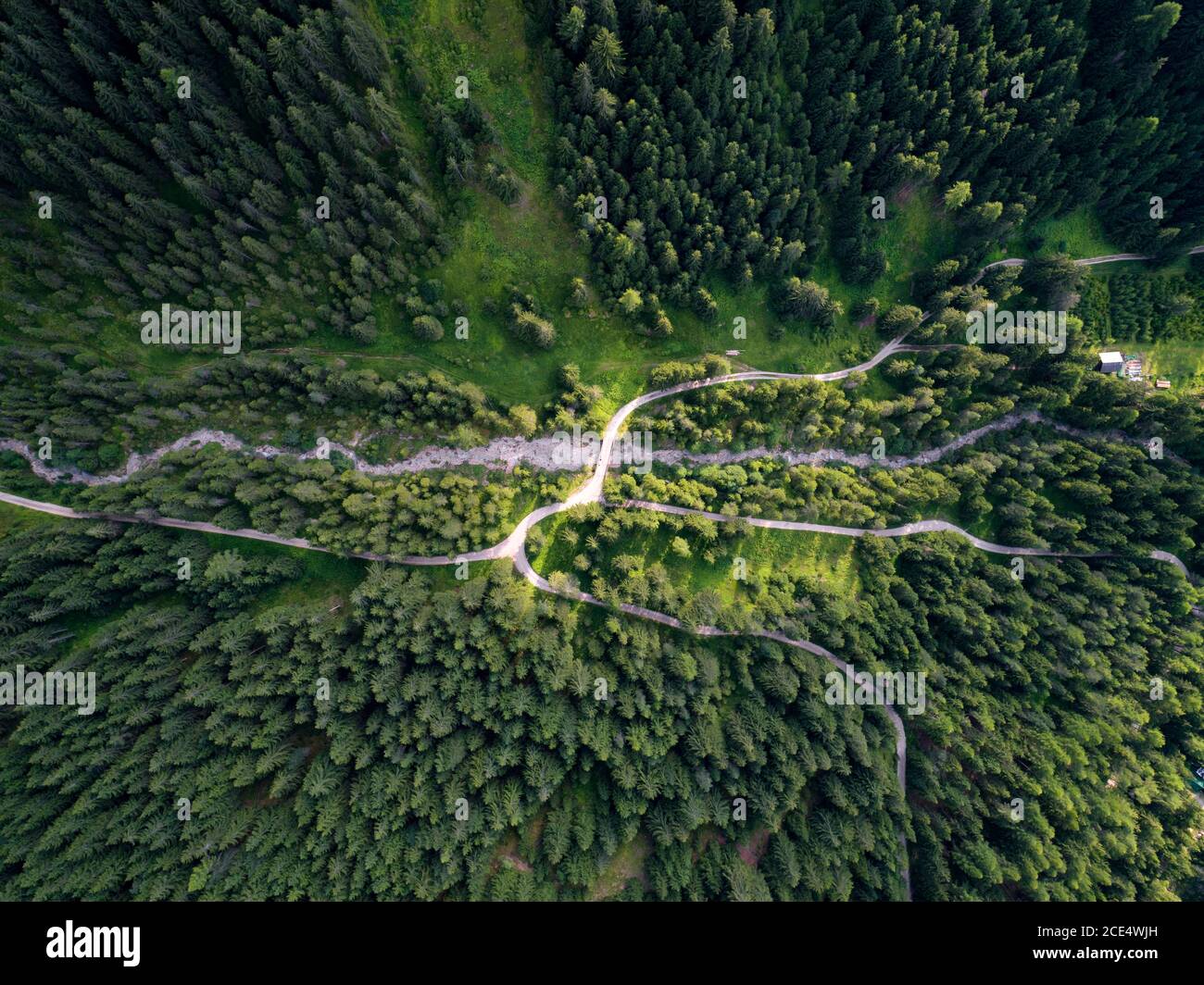 Antenna fuco vista sugli alberi dalla parte superiore su una foresta sulle Dolomiti italiane Alpi di Santa Maddalena Foto Stock