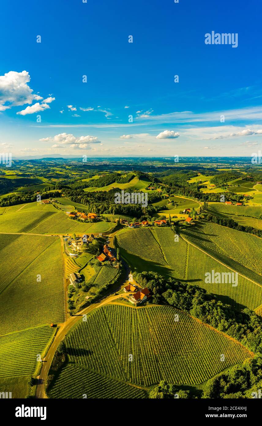 Sud stiria vigneti panorama aereo. Vista sulle colline d'uva dalla strada del vino in estate. Foto Stock