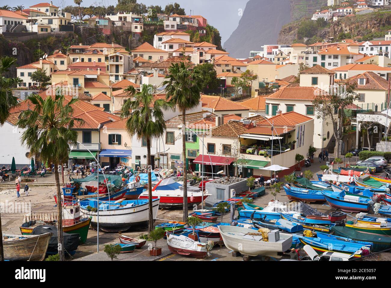 Vista di Câmara de Lobos in Madeira con Capo Girão sullo sfondo e le barche della marina Foto Stock