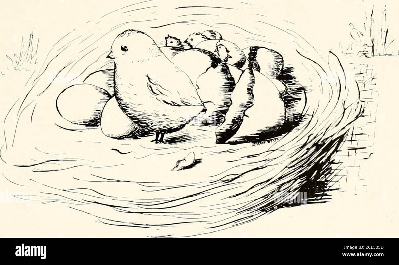 . La Chowanoka . ^opfjomore |3oem Siamo i Sophomores del vecchio C. C, che se tu, ma guarda, si può presto vedere, sono stati fino a male e tutti i tipi di divertimento;sembra, agiamo, come nulla che avevamo fatto. Ma urlatore rude, come felice vc apparire, negli studi siamo saggi come qualsiasi seer.We lavoro dalla luce del mattino fino a notte così tardi, ma scoldings dagli insegnanti è il nostro destino. Perché, come alcuni saggi diranno, erano noti per stare a volte dopo la camera-corridoi Bellin, per rendere il nostro divertimento così a lungo; No, davvero no, non possiamo capire perché è sbagliato. Eppure solo guardare noi, allora youll sicuramente know.well sforzarsi nella vita per agire il nostro vero motto Foto Stock