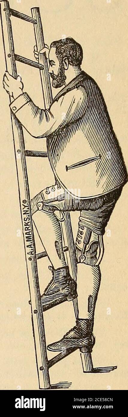 . Il giornalista medico e chirurgico . FIG. I. 701 BROADWAY, JPL. SEGNI A , FIG. 2.NEW YORK CITY. Gi^^^ft«. Vai. Signori : il caso dei vostri vini che mi ha inviato per analisi dal Dott. A. L. Hummel, degli Annals di Hygiene, contenente esemplari del vostro la Rosa Zinfandel, Mataro, Riesling, Royal Tokay, e RoyalGrape Brandy, è stato debitamente ricevuto. Li ho esaminati per i comuni contaminanti del vino; per wit:acido sulfureo e solfiti, acido salicilico, fuchsina, sali di piombo, ecc., nessuno dei quali vi ho trovato. Ho anche determinato il loro titolo alcolometrico, gli estrattivi, le ceneri, e ho trovato Foto Stock