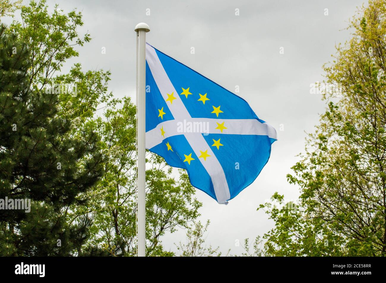 La Bandiera della Scozia, conosciuta anche come Croce di Sant'Andrea o il Sconto con stelle Gialle dell'Unione europea nel Centro. Foto Stock