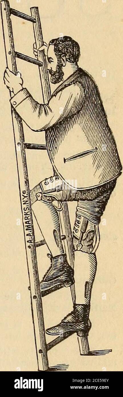 . Il giornalista medico e chirurgico . FIG. I. TOL BROADWAY, A. A  MARKS, FIG. 2.NEW YORK CITY. GiiT^ Vai. (xc^o Y^WJC -tw£ te»0kS. Signori: Il caso dei vostri vini mi ha inviato per analisi dal Dott. A. L. Hummel, degli Annals ojHygiene, contenente esemplari del vostro la Rosa Zinfandel, Mataro, Riesling, Royal Tokay, e RoyalGrape Brandy, è stato debitamente ricevuto. Li ho esaminati per i comuni contaminanti del vino; per wit:acido sulfureo e solfiti, acido salicilico, fuchsina, sali di piombo, ecc., nessuno dei quali vi ho trovato. Ho anche determinato il loro titolo alcolometrico, extractiv Foto Stock
