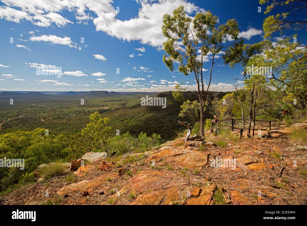 Paesaggio di colline e vaste foreste di eucalipti vista dall'alto Punto di osservazione all'estremità meridionale della valle dell'Arcadia nel Queensland centrale Australia Foto Stock