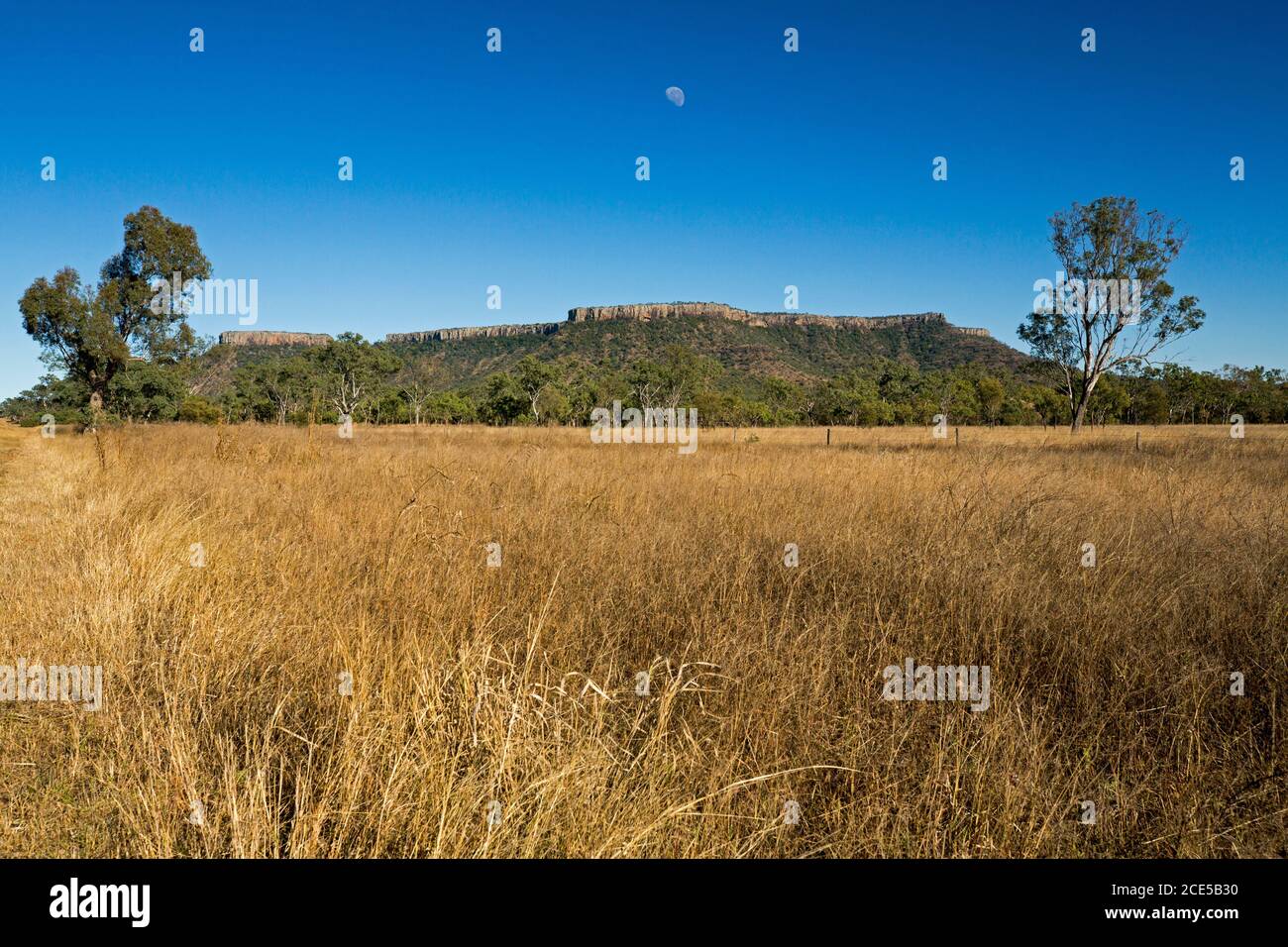 Colline del Peak Range National Park che si innalza nel cielo blu Con primo piano rivestito in erbe dorate nell'Outback Queensland Australia Foto Stock