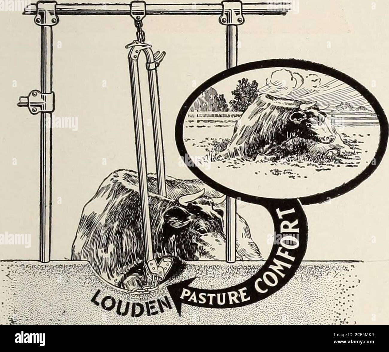 . Attrezzature per fienile da latte, attrezzature per stalla di cavalli, piani di fienile . ything oggi è sanitario, anche garbagecans sanitari. Essendo la parola sanitaria così mal lavorata, preferiamo usare la parola pulizia che si dice essere vicina alla pietà. Il senso mantenere un casearianSanitary deve renderlo in modo da sarà facile da pulire e facile da mantenere pulito. Non è disposto e non può pulirsi. Non devono essere presenti crepe o crepe in alcun punto della zona e non devono essere presenti tracce di sporcizia. Non devono essere presenti incavi o tasche in cui si possono raccogliere le sporcizia, né barre o tubi sotto i quali possono raccogliersi e essere difficili da rimuovere. Espec Foto Stock