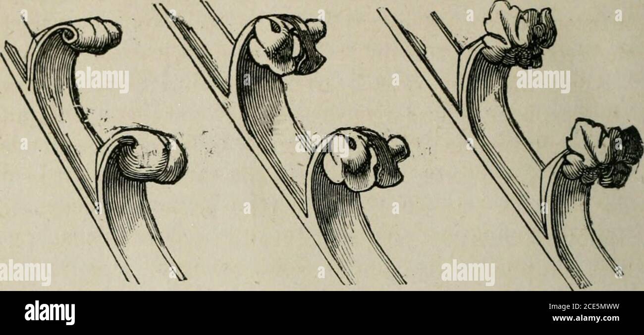 . Eléments d'archéologie chrétienne . ssortir, en les accentuant vivement, lesgrandes lignes qui caractérisent chaque végétal et le rendentpropre à devenir un motivo dormement. Les sculpteurs qui introduisent dans le centre et le Nordde la France ce nouveau style de sculpture monumentalependant la dernière moitié du xiisiècle, et leurs imitateursdans les autres parties de lEurope au commencement dusiècle suivant, sattachent dans le principe à traduire dansleurs œuvres les plantes les plus humbles des bois et deschamps au moment où elles font leur première pousse, oùles boutons apparaissent et n Foto Stock