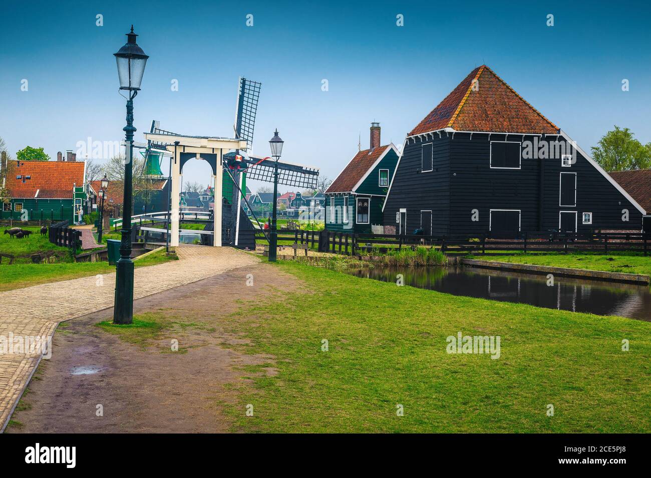 Affascinante strada di campagna olandese con mulino a vento tradizionale in legno e pascoli nel giardino, Zaanse Schans villaggio turistico, Paesi Bassi, Foto Stock