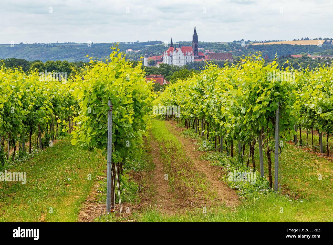 Meissen Foto Stock