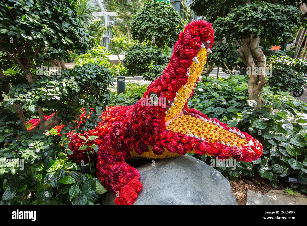 Una bella mostra d'arte di fiori di coccodrillo rosso al Canopy Park nell'Aeroporto Jewel Changi, Singapore Foto Stock