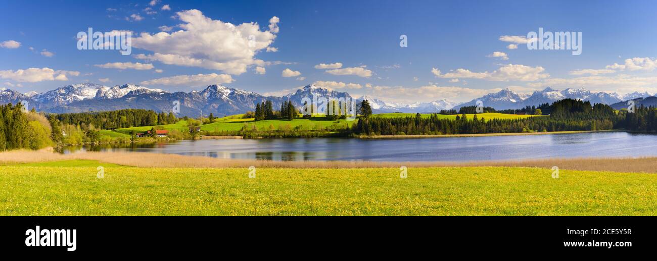 Panorama a Allgäu in primavera Foto Stock