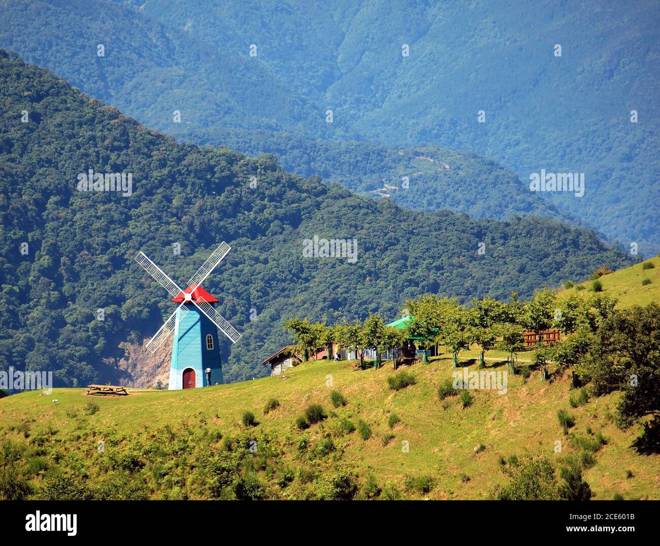 Un lussureggiante prato alpino con un mulino a vento e le montagne sullo sfondo Foto Stock