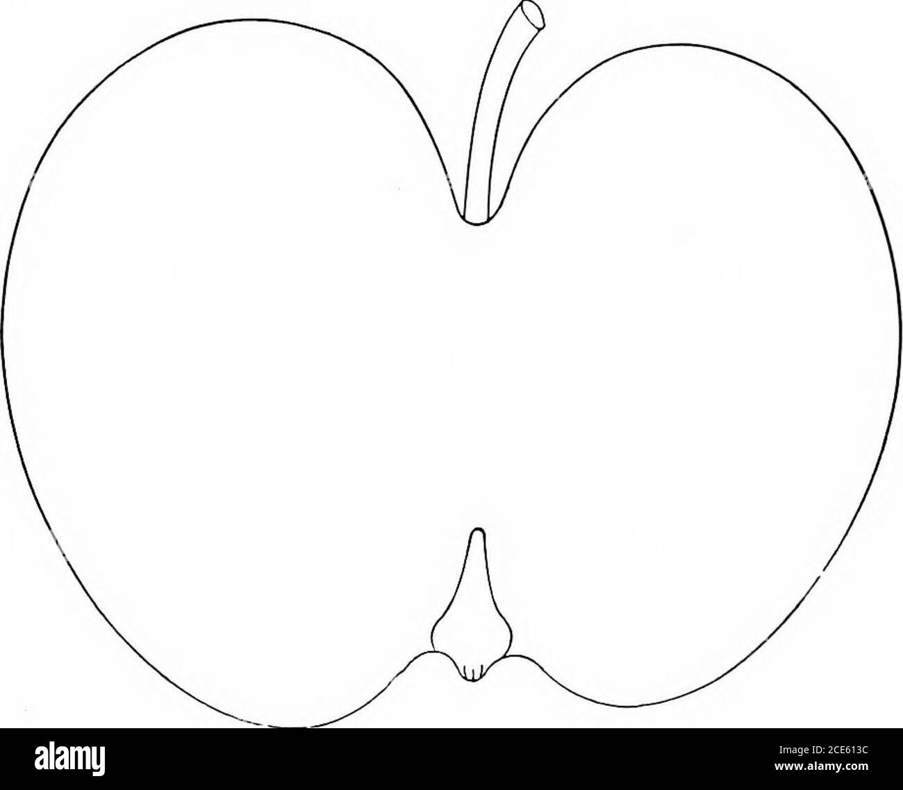 . Manuale orticolo americano .. . Choice).-originata nella fattoria della lateMichael Kinnard, di Franklin, Tenn.; albero vigoroso, non verj diritto.. Kinnard. Un portatore precoce e annuale, ]irnducing lioavier raccolto alternano years.fruit medio, oflate, inclinando a conico, leggermente angolare o LA MELA. Malato oscuro nervato, lati a volte disuguali; superficie gialla, ricoperta di rosso scuro ricco; punti vicino l)asin molti, piccolo, leggero, nearbase più grande e meno; cavità larga, profonda, russeted; gambo corto, piccolo, a volte da un labbro; bacino grande, profondo, solcato; cah-xclosed. Nucleo piccolo; tubo ottusamente coni Foto Stock