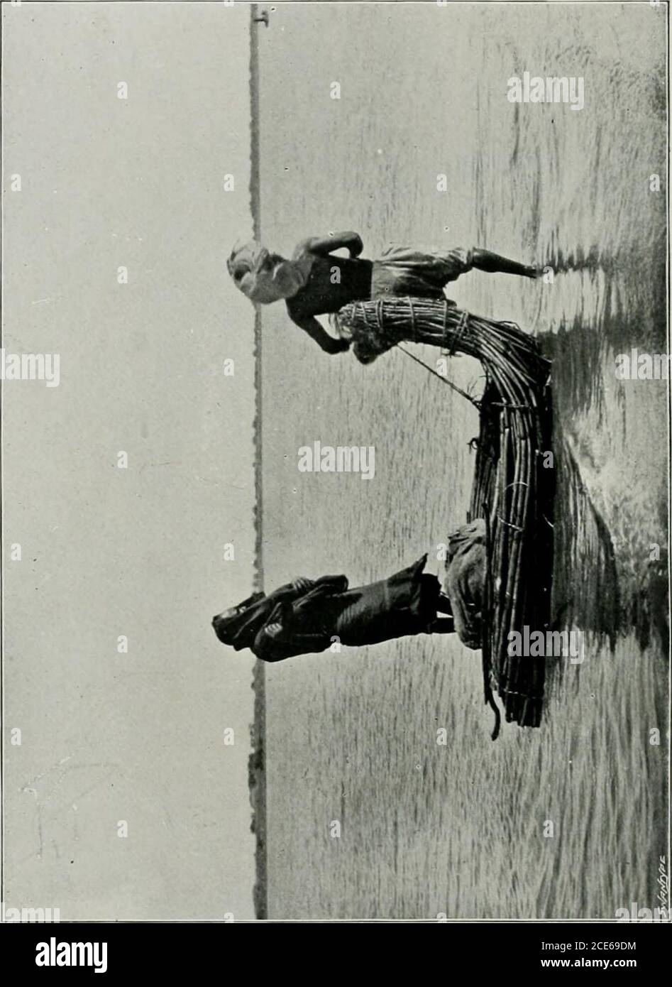 . Due viaggi africani, con note e suggerimenti sulla conservazione dei grandi giochi in Africa; . ed in questa sacra lista, altri, come ho detto, ricevono protezione da un limite di essere placedon il numero consentito di essere uccisi. Tra tutte le gameregulations che si occupano di questo argomento il miglior modello sembra essere il terzo calendario di quelli in vigore in Uganda e in Africa orientale britannica, che evita troppe distinzioni, ma divide gli animali protetti in quelli di cui due soli possono essere uccisi, e le specie comuni, la cui limite dieci. Questo è meglio che moltiplicare i limiti arbitrari. Poi, per quanto riguarda la questione difficile Foto Stock