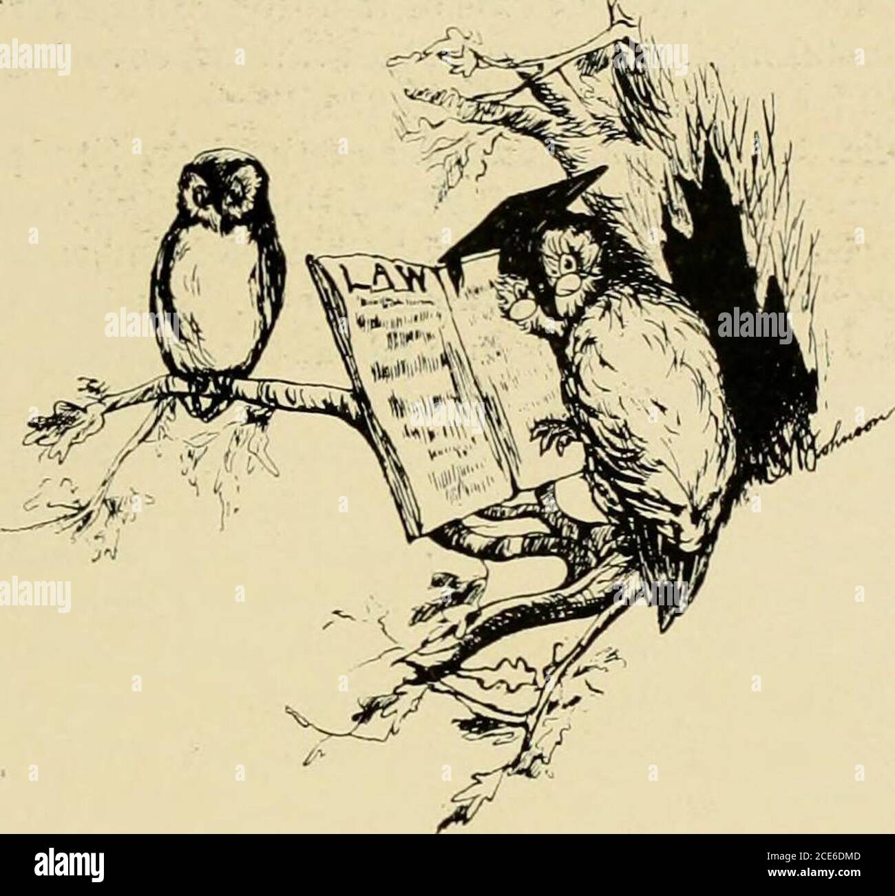. La Monticola 1901 . per un'organizzazione.-EDS.] giovane per una storia, e non Roll di Freshmen. Karl Clark Atkeson,Charles Wesley Briggs,Lavigo Washington Bumis,Andrew Leopold Click,Linnie Belle Cobuu,Emmert Luther Cole,Albert Jackson Collett,Mary Coplin,Blanche Corbin,Eva Laura Crago,Daniel Dawson,Ada Mae Halstead,Jeannette Clement Hayjames,James Vance Howe,William Pascin,Robert Pascin,Hamilton, Daniel Pascin,William Pascin,Hamilton Herbert Cromwell Peck, Foto Stock