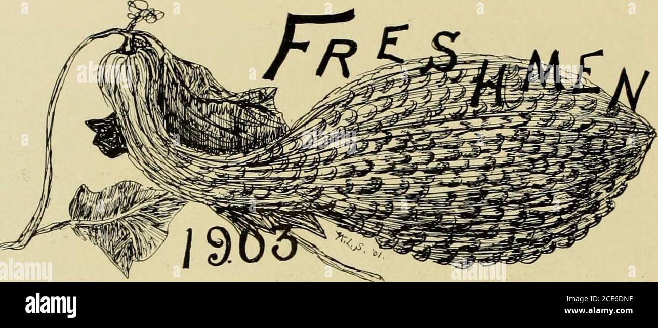 . La Monticola 1901 . [Nota: - ci dispiace dire che i Freshmen sono tonsufficientemente logici per un'organizzazione. - EDS.] giovani per una storia, e non Roll di Freshmen. Karl Clark Atkeson,Charles Wesley Briggs,Lavigo Washington Bumis,Andrew Leopold Click,Linnie Belle Cobuu,Emmert Luther Cole,Albert Jackson Collett,Mary Coplin,Blanche Corbin,Eva Laura Crago,Daniel Dawson,Ada Mae Halstead,Jeannette Clement Hayjames,James Vance Howe,McLahrank,Robert McLahn,Paul,Robert Hulf,Paul, Paul, Daniel McLahran, Paul, Paul, Paul McLahran, Paul, Paul, Paul, Paul, Paul, Paul McLahran, Paul, Paul, Paul, Paul, Paul, Paul, Paul, Paul, Paul, Paul, Paul, Paul Foto Stock